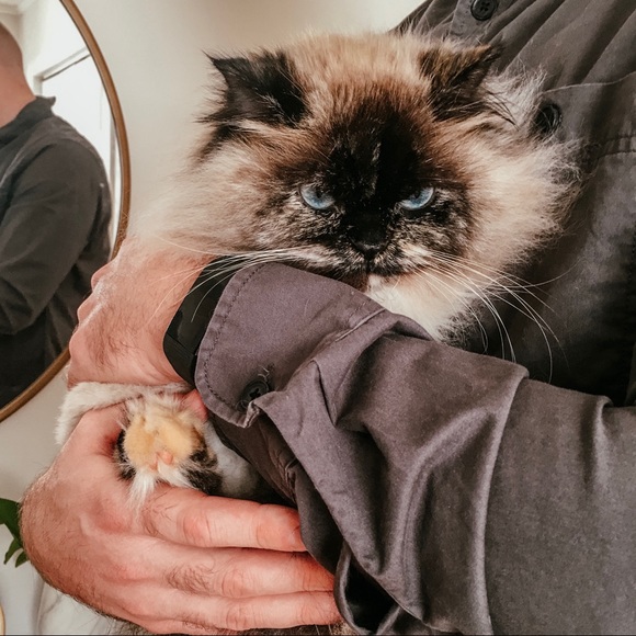 C L O S E T I N F O☝🏼 - Picture 6 of 16